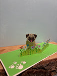 3D- Hond in de Lente